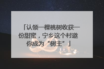 认领一棵桃树收获一份甜蜜，宁乡这个村邀你成为“树主”